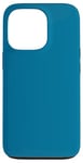 Coque pour iPhone 13 Pro Couleur bleu mer simple