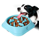 Decyam Slow Feeder Dog Bowl Slow Eating Dog Bowl Pet Puppy Fun Puzzle Feeder Non Skid Bloat Stop Feeding Bowl