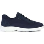 Baskets basses Geox  nebula 2.0 sneakers navy