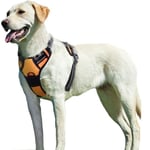 Hundsele L, antidragsele för hundar, lätt att ta på, med kontrollhandtag, orange Levereras med ett rep på 1