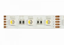 Synergy 21 Led Flex Strip 60 Rgb Dc24v Rgbw Ein Chip Ww Ip68