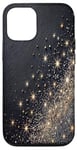 Coque pour iPhone 12/12 Pro Case-Mate Coque transparente scintillante 2025