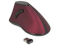 DELOCK – Ergonomic vertical optical 5-button mouse 2.4 GHz wireless (12528)