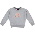 Sweat-shirt enfant adidas  Sweat gris, rose