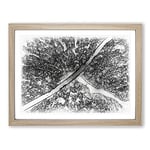 Road Through The Winter Forest Sketch Modern Art Framed Wall Art Print, Ready to Hang Picture for Living Room Bedroom Home Office Décor, Oak A2 (64 x 46 cm)