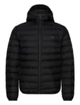 Fred Perry Hooded Insulated Jacket Svart