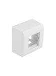 DeLOCK Easy 45 - Surface Mounted Box - White RAL 9003