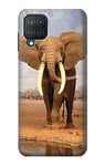 African Elephant Case Cover For Samsung Galaxy M12