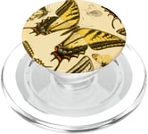 Illustration de biologie botanique vintage de papillon jaune PopSockets PopGrip pour MagSafe