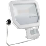 Floodlight Performance Sensor 2400lm 20W 840 IP65 vit