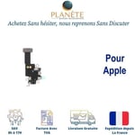 Nappe Antenne Wifi iPhone 13 A2482 A2631 A2633 A2634 A2635 (Reconditionné)