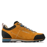 Trekking-skor Dolomite 54 Hike Low Evo Gore-Tex 289208 0922 Brun