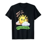 What A Great Day To Stay Inside T-Shirt