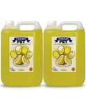 Trade Chemicals Professional Pet Disinfectant Cleaner - 2x 5L | Cat & Dog Stain Remover, Odour Eliminator & Urine Cleaner for Laundry, Carpets & Hard Floors | Fresh Citrus Lemon