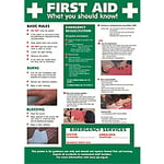 Poster First Aid Plastic 42 x 59.4 cm