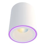 Smart Hem LED Spot 2700-6500K + RGB Vit