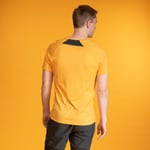 Bergans of Norway Y LightLine Merino Tee Herre