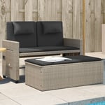 Vidaxl Banc Inclinable De Jardin Et Coussins Gris Clair Résine Tressée