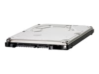 HP - Disque dur - chiffré - 500 Go - interne - 2.5" SFF - SATA 3Gb/s - 7200 tours/min - Self-Encrypting Drive (SED) - pour Workstation Z2, Z2 G4, Z2 G5, Z2 G8, Z2 G9, Z4 G4, Z6 G4, Z620, Z640, Z8...