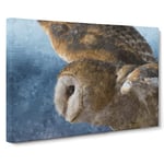 Barn Owl In The Snow Painting Modern Art Canvas Wall Art Print Ready to Hang, Framed Picture for Living Room Bedroom Home Office Décor, 30x20 Inch (76x50 cm)