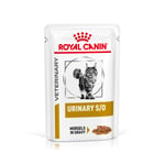 Royal Canin Veterinary Feline Urinary S/O kastike tai mousse - 48 x 85 g paloja kastikkeessa