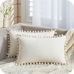 Topfinel Housse Coussin 30x50 cm Blanc Crème Decoration Salon Moderne pour Coussin Lombaire de Canape Chaise Fauteuil Bureau Café en Velours Doux Lot de 2