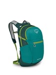 Osprey Daylite Plus Unisex Lifestyle Backpack Escapade Green/Baikal Green O/S