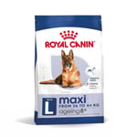 Royal Canin Maxi Ageing 8+ t&oslash;rrf&ocirc;r til hund (15 kg)