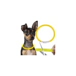 Justerbart LED-hundhalsband med USB-laddning