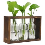 OFFIDIX Stations de propagation de plantes, terrarium de bureau en verre avec support en bois, pot de fleurs en verre avec 3 jasr pour plantes hydroponiques, bureau, décoration de la maison