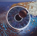 Pink Floyd P.U.L.S.E. CD multicolor