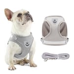 Anlitent Comfort No Pull Dog Vest Harness and Lead Set Escape Free, Breathable Dog Vest Service Harnesses for Puppy Seat Belt for Puppies Small Puppies Outdoor Easy Comtrol Large