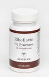 B vitamin B2 Riboflavin Synergos 60 tabl