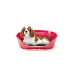 Ferplast Dog Bed Cat Bed Medium Size Dog Bed Plastic Dog Bed Washable Breathable and Non-slip Dog Bed Siesta Deluxe, 62 x 41 xh 23.5 CM, Bordeaux