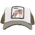 Casquette Goorin Bros  JACKAL