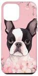 Coque pour iPhone 15 Plus Boston Terrier et fleurs de cerisier roses en rose