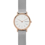 Skagen Klockarmband SKW1106 Stål 14mm