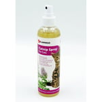 Catnip en spray 250 ml pour chat