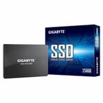 Hårddisk Gigabyte GP-GSTFS31256GTND 2,5" 256 GB SSD 256 GB