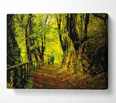 Forest Walking Path Canvas Print Wall Art - Double XL 40 x 56 Inches