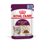 Royal Canin Sensory Taste i gelé - 12 x 85 g