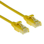 ACT Câble réseau CAT6, U/UTP LSZH - Câble LAN fin de 3,8 mm - Câble Ethernet flexible sans crochet avec fiche RJ45 - Pour une utilisation dans les centres de données - 0,5 m - Jaune - DC9800