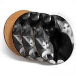 4 x Coasters  - BW - Cute Kittens Black Tabby Ginger Cat  #43908