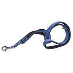 Ferplast Laisse pour Chien Daytona, Laisse pour Chien Taille Moyenne, 200 cm, Laisse de Dressage avec poignée rembourrée Confortable et Mousqueton en métal. Bleu