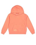 Champion Legacy Emotional Dance G (405013) -Ultra-Light Soft Compact Fleece (240gr) Hooded Sweatshirt à Capuche, Rose (PS004), 15-16 Years Fille