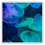 2 x Square Stickers 10 cm - Beautiful Jellyfish Blue Sea Creatures Cool Gift #83