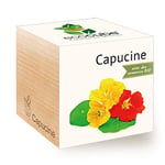 Feel Green Ecocube Capucine Certifiées Bio, Idée Cadeau (100% Ecologique), Grow-Your-Own/Kit Prêt-à-Pousser, Plantes Dans Des Cubes En Bois 7.5cm, Produit En Autriche