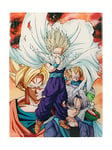 Dragon Ball Impression en Verre Heroes vs Cell 30 x 40 cm