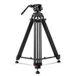 【Tilt Tension Design】 RAUBAY 70.8" Professional Heavy Duty Video Camera Tripod with Fluid Head and QR Plate for DSLR Camcorder, Max Loading 17.6lbs, Aluminum Twin Tube Leg with Mid-Level Spreader DV-1