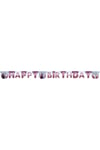 Frozen II Happy Birthday Letter Banner